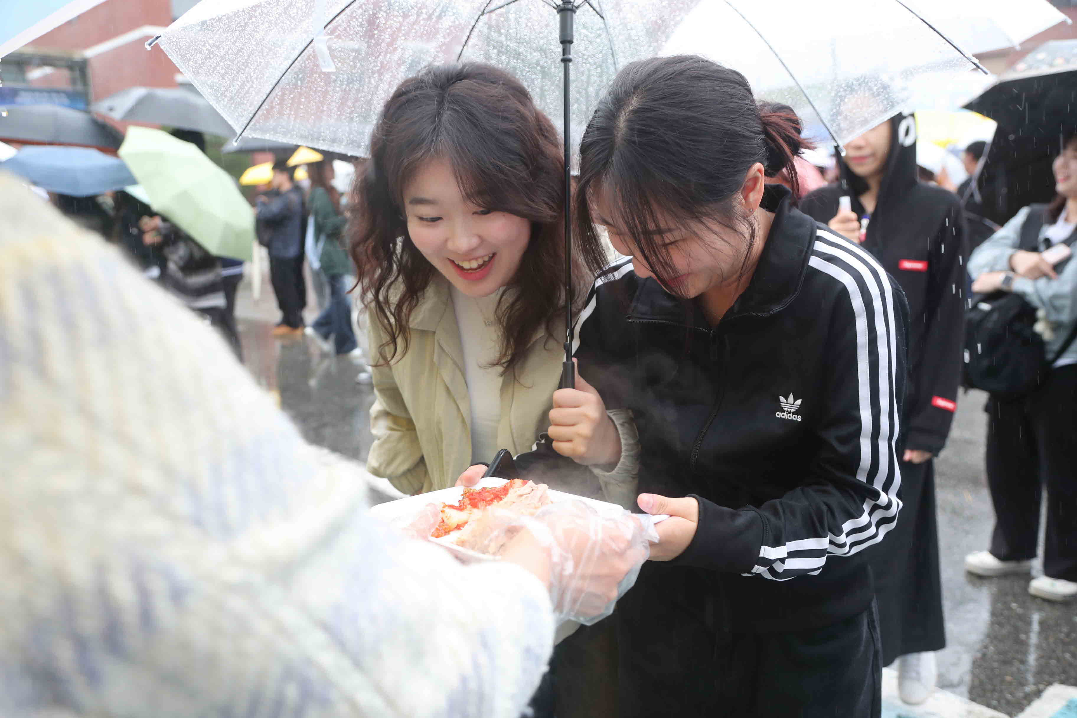 공감 시그널(통돼지 바베큐 행사)