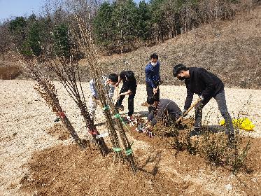교직원들의 나무심는 모습