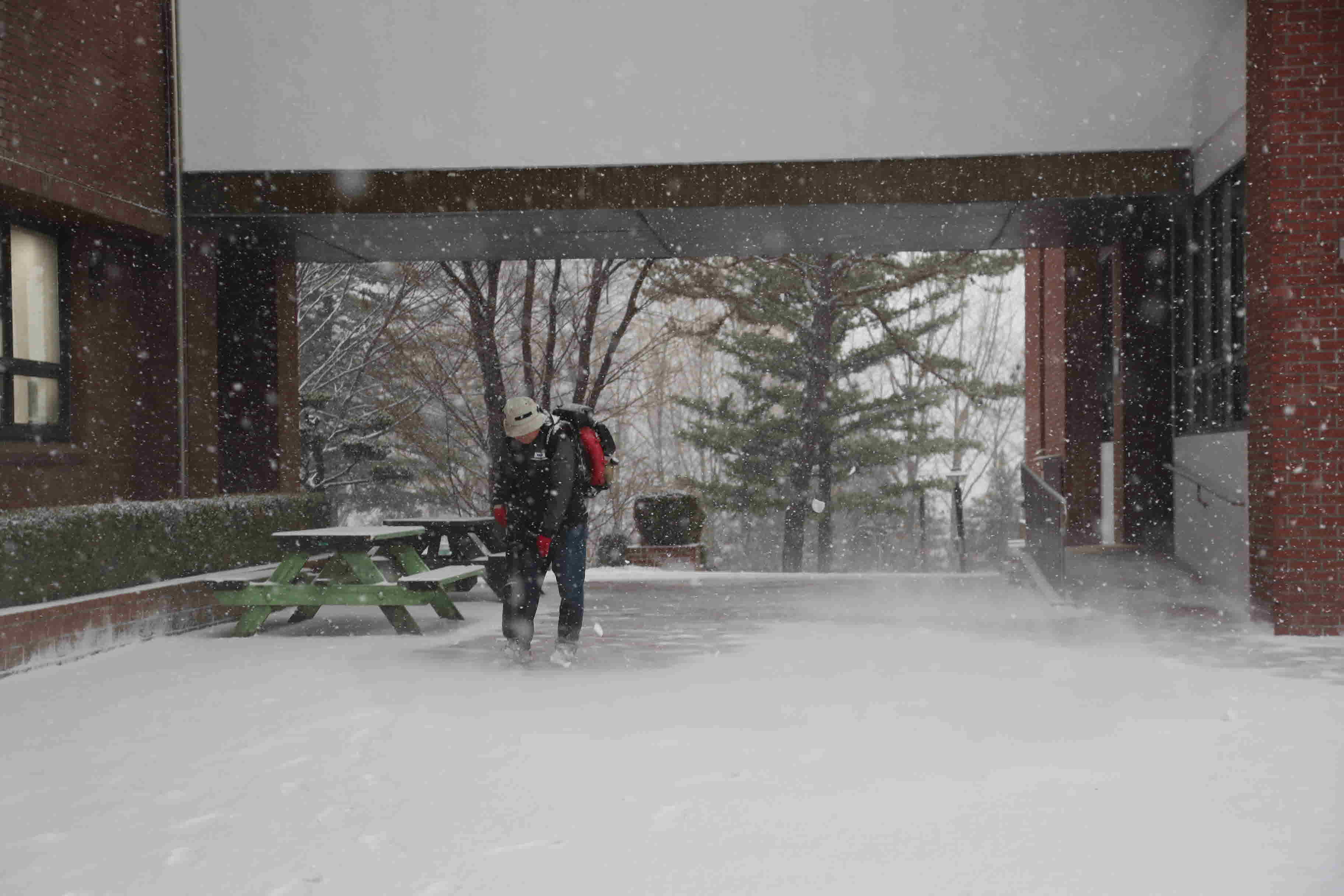 2025년 한림성심대학교의 겨울 모습