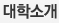 대학소개